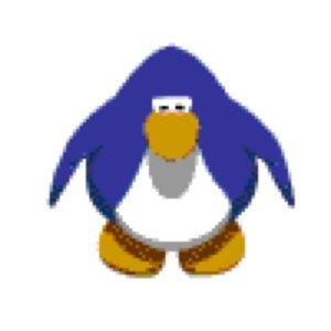 Meet your Posher, Noel